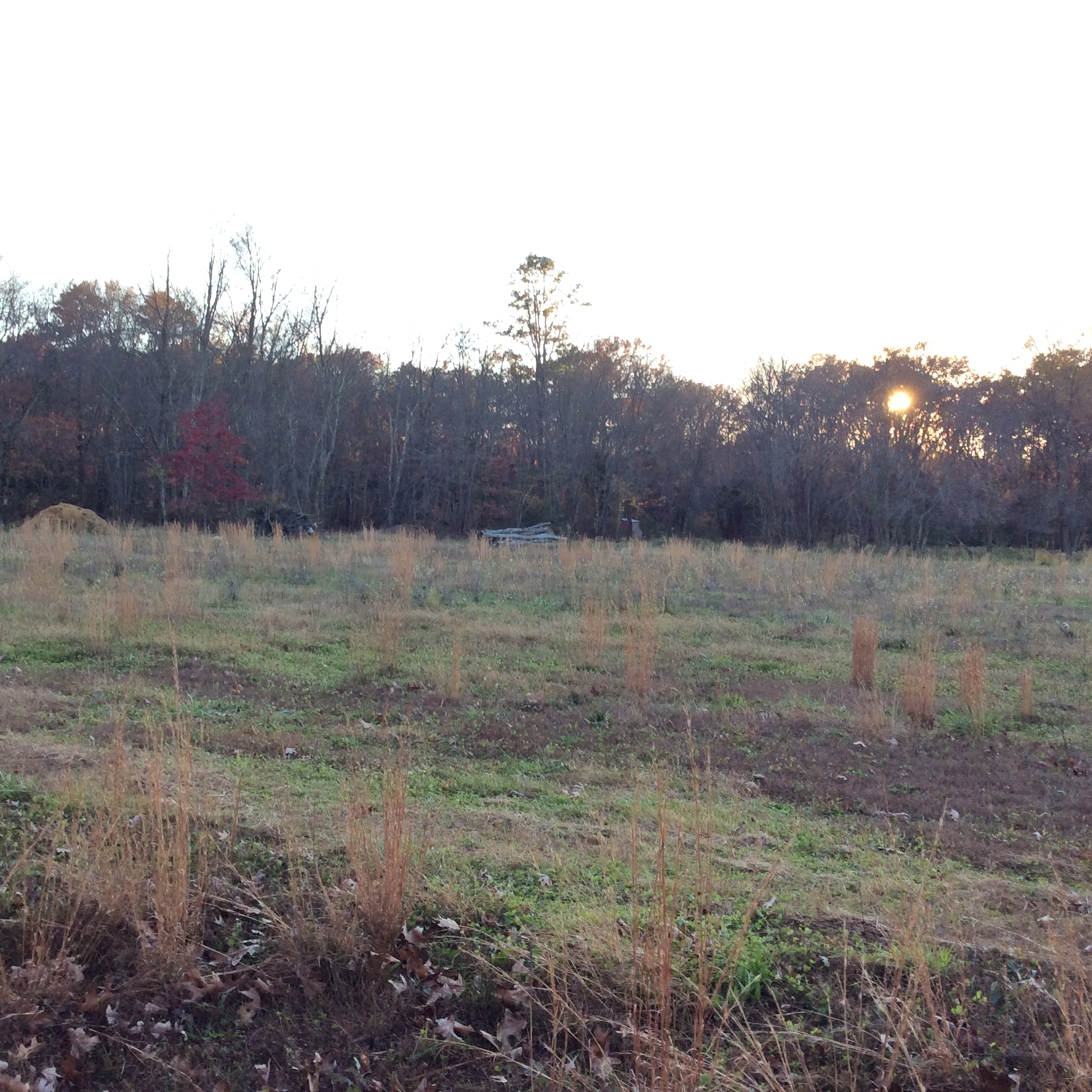 nj land link Farmland Opportunity Details